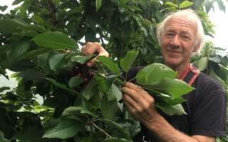 Ãblemanden Karensminde Frugtplantage
