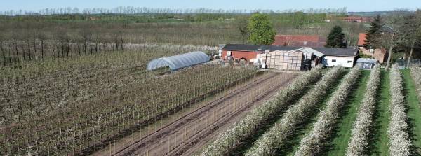 aktuelt karensminde frugtplantage